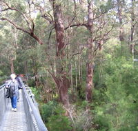 Walpole YHA - Accommodation Great Ocean Road