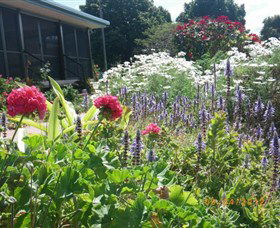 Eastwood Farm - Accommodation Great Ocean Road 0
