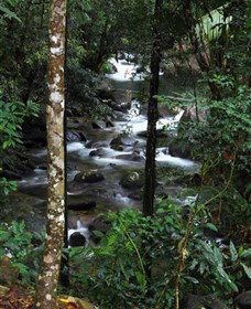 Daintree Secrets Waterfall Sanctuary - Accommodation Great Ocean Road 1