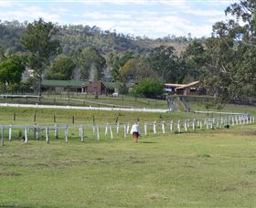Kellarni Downs Farmstay-Scenic Rim - Accommodation Great Ocean Road 0