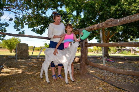 Bullo River Station - Accommodation Great Ocean Road 3