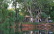 Discovery Parks - Lake Kununurra - thumb 2