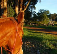 Billa Billa Farm Cottages - Accommodation Great Ocean Road