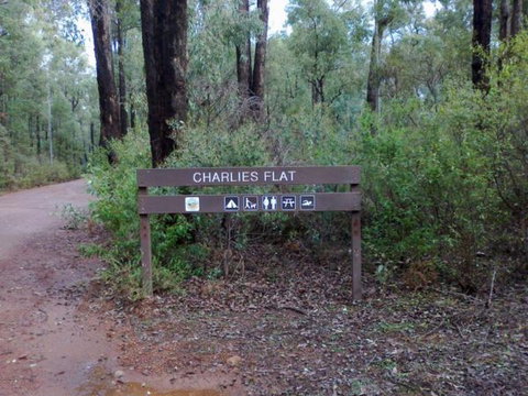 Congo Campground - Accommodation Great Ocean Road 9