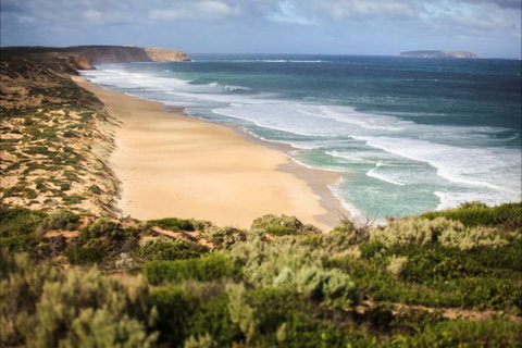 Congo Campground - Accommodation Great Ocean Road 4