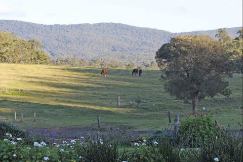 Wallaby Cottage - Accommodation Great Ocean Road 1