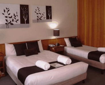 Best Western Bakery Hill Motel - Accommodation Great Ocean Road 2
