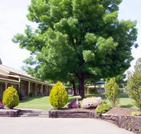 Mansfield Valley Motor Inn - Accommodation Great Ocean Road