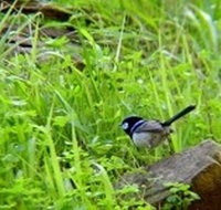 Morialta Bed And Breakfast - Accommodation Great Ocean Road