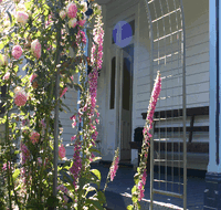 Devonport Bed And Breakfast - Accommodation Great Ocean Road