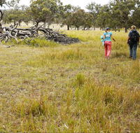 Carnarvon National Park camping - Accommodation Great Ocean Road