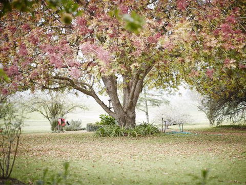 WillOaks B&B - Accommodation Great Ocean Road 8