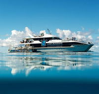 Bundaberg to Lady Musgrave Island Day Cruise - Accommodation Great Ocean Road