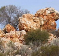 Credo Homestead Camp at Credo Conservation Park - Accommodation Great Ocean Road