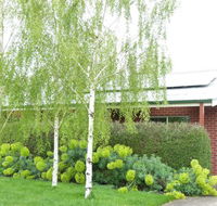 Birralee Cottage - Accommodation Great Ocean Road
