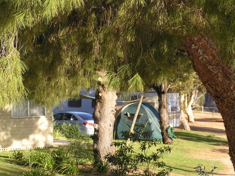 Barmera North Lake Caravan Park - Accommodation Great Ocean Road 0