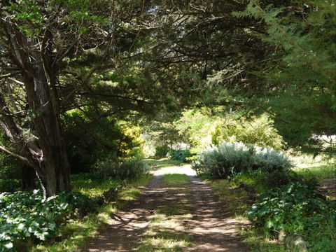 Coodravale Homestead - Accommodation Great Ocean Road 8