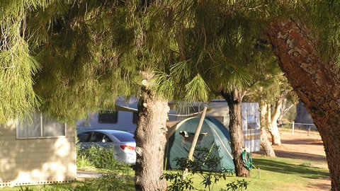 Barmera North Lake Caravan Park - Accommodation Great Ocean Road 4