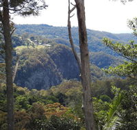 Mt Tamborine Motel - Accommodation Great Ocean Road