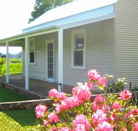 Orange Tree Cottage - Accommodation Great Ocean Road
