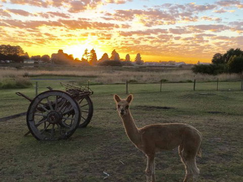 Pelican Waters Holiday Park - Accommodation Great Ocean Road 2