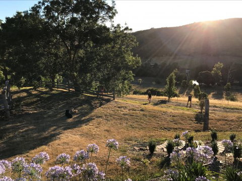 Shearer's Hill - Luxury Farm Stay - Accommodation Great Ocean Road 9