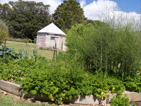 The Old Drik Drik Schoolhouse Retreat - Accommodation Great Ocean Road 6