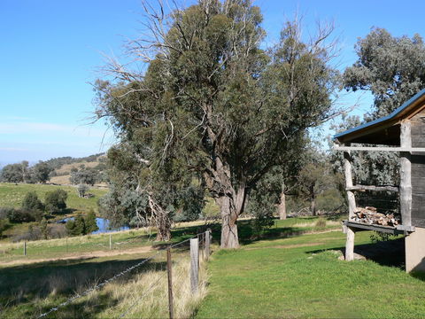 Gaddleen Grove Cottages - Accommodation Great Ocean Road 9