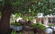 Hahndorf Oak Tree Cottages - thumb 8