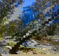 Highfield Farm and Woodland Bush Campsites - Accommodation Great Ocean Road