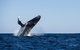 Sal Salis Ningaloo Reef - thumb 2