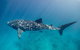 Sal Salis Ningaloo Reef - thumb 6