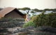 Sal Salis Ningaloo Reef - thumb 10