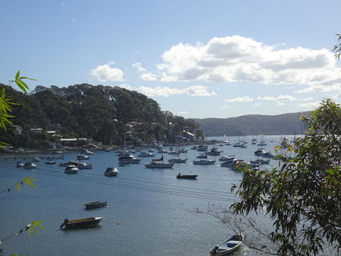 Studio At Careel Bay - Accommodation Great Ocean Road 4