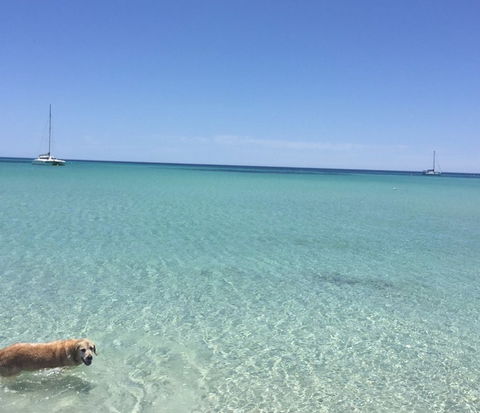 WA HomeStay - Accommodation Great Ocean Road 3