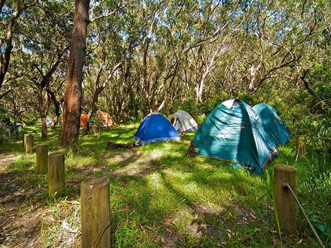Yagon Campground - Accommodation Great Ocean Road 3