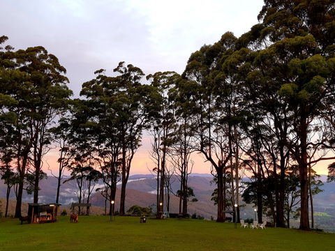 Aaronlee Retreat - Accommodation Great Ocean Road 1