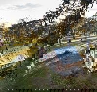 Daffodil Cottage - Accommodation Great Ocean Road