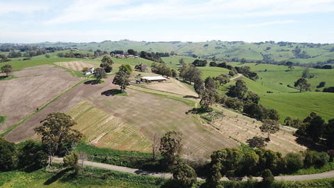 Kardella Country Homestead - Accommodation Great Ocean Road 0