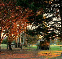 Misty Valley Country Cottages - Accommodation Great Ocean Road