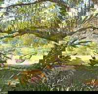 Nimbin Rox YHA - Accommodation Great Ocean Road