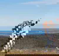 Cowell RV Park - Accommodation Great Ocean Road