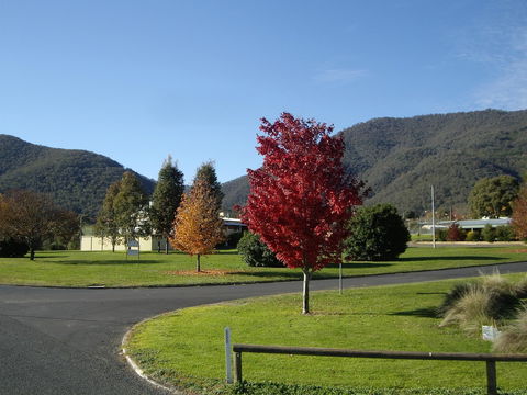 Talbingo Country Club - Accommodation Great Ocean Road 1