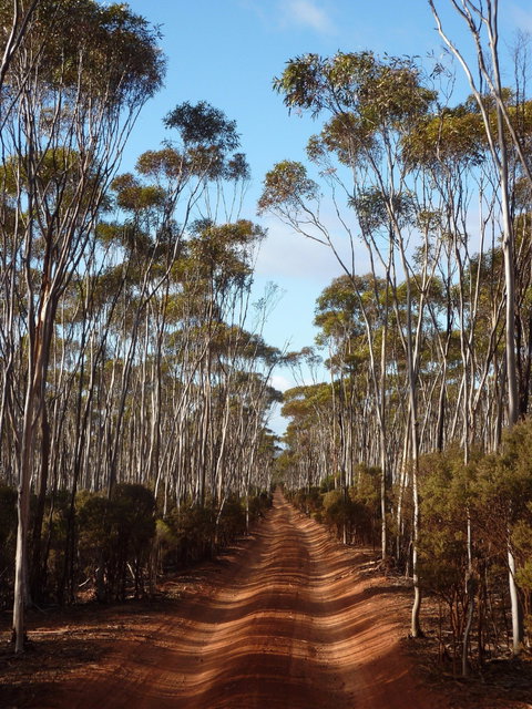 Victoria Rock Camp At Goldfields Woodlands National Park - Accommodation Great Ocean Road 0