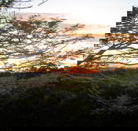 Annie's Place Bed and Breakfast - Accommodation Great Ocean Road