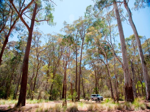 Coolah Tops National Park Camping - Accommodation Great Ocean Road 0