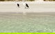 Kangaroo Island Star Beach House - thumb 1