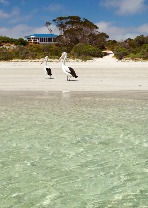 Kangaroo Island Star Beach House - Accommodation Great Ocean Road 1