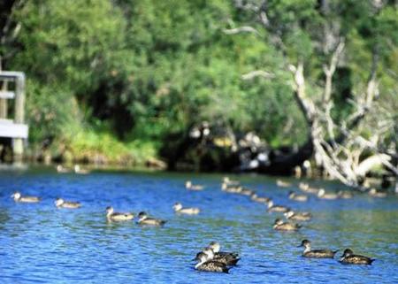 Comfort Inn Yanchep - Accommodation Great Ocean Road 4