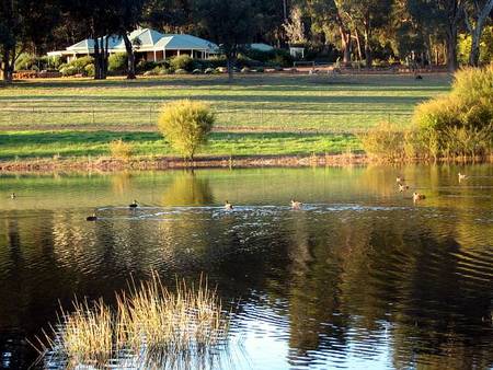 Lakeview Lodge - Accommodation Great Ocean Road 2
